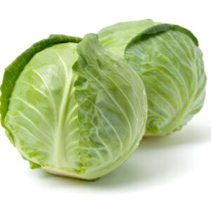Green Fresh Cabbage