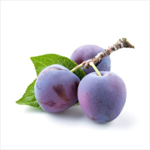 Plum